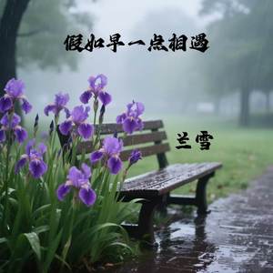 假如早一点相遇