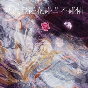 从此我碰花碰草不碰情 (出租车版伴奏)