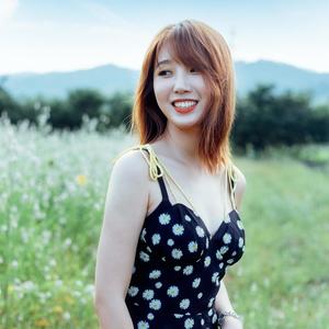 方向是正确的 (Explicit)