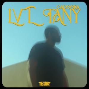 Lvl Tany