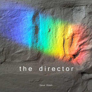 The Director