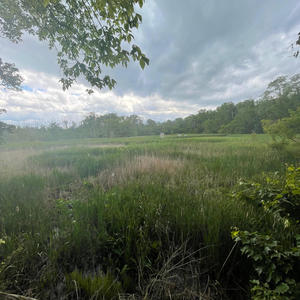 Free Tha Bros (Explicit)