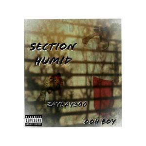 Section humid (feat. Ooh Boy) [Explicit]