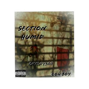 Section humid(feat. Ooh Boy) (Explicit)
