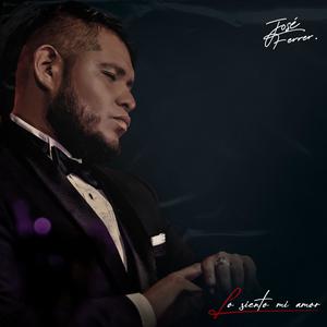 Lo siento mi amor (feat. El Ciro & LMN)