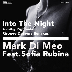 Into The Night (Instrumental Mix)