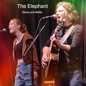The Elephant