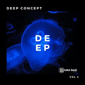 Deep Concept vol 4