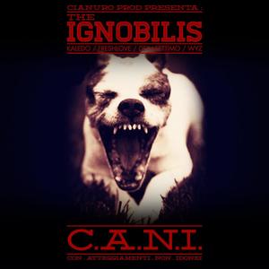 C.A.N.I. (Con Atteggiamenti Non Idonei) [Explicit]