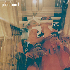 Phantom Limb