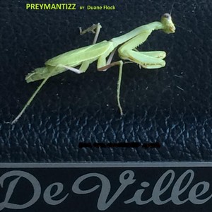 Preymantizz