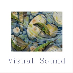 Visual Sound