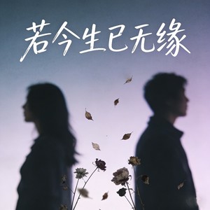 若今生已无缘（若来世能相见）