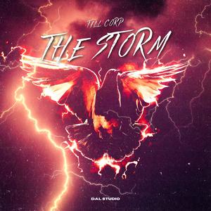 The storm