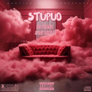 STUPUD (feat. SHAY HOOLIE) (Explicit)