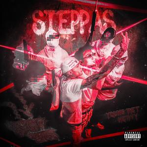 STEPPAS (feat. Young Heavy) (Explicit)