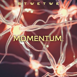 Momentum