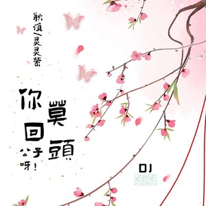 公子呀你莫回头DJ焱燚版 (伴奏)
