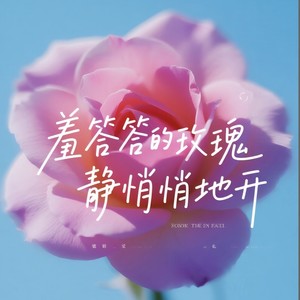 羞答答的玫瑰静悄悄地开 (Soul&Funk版)封面