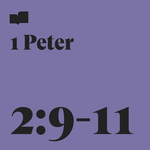 1 Peter 2:9-11(feat. Aaron Strumpel)