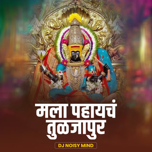 Mala Pahaych Tuljapur (DJ Remix)