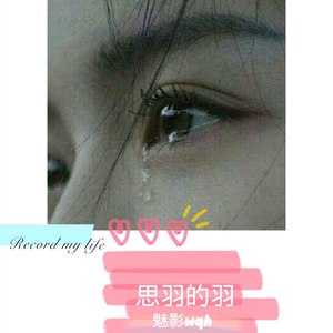 思羽的羽