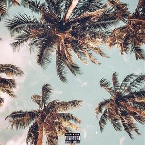 Palm tree (Explicit)