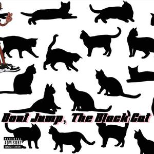 Dont Jump, The Black Cat (feat. Silk The Uninspired Ghost) [Explicit]