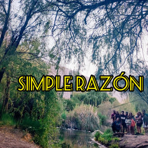 Simple razón