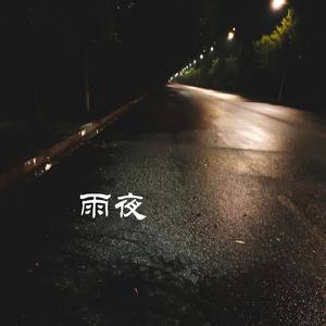 雨夜