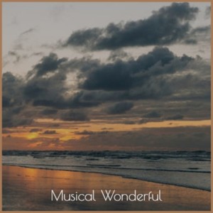 Musical Wonderful