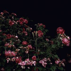 Did To Me (Sped Up) - Under The Influence (Explicit)