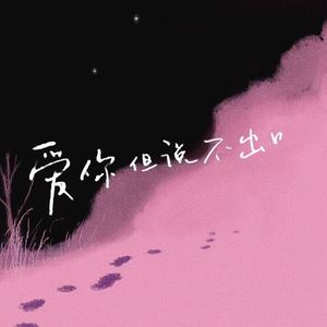 爱你但说不出口 (柳智敏生日会版)