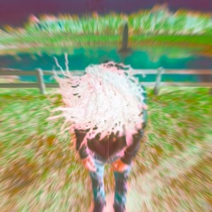 Lose (feat. Ladeftw, 6evermir & 6ixk66) (Explicit)