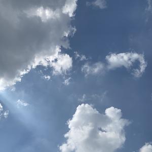 忽而今夏 (翻自 群星)