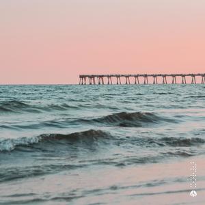 Lockdown(feat. Ric Flo & Kenji)