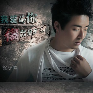 我爱的你伤我最深