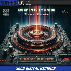 Deep into the Vibes (darkphoric mix) (feat. JD NoiZe)