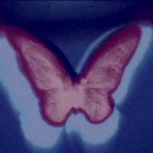 Apologize (Explicit)