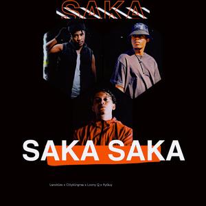 Saka Saka (feat. AY Guy) [Instrumental]