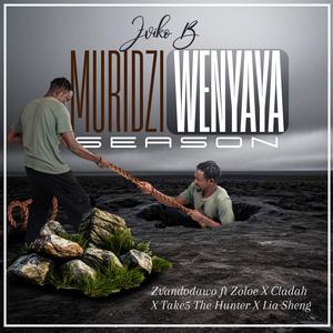 Zvandinodawo (Explicit)