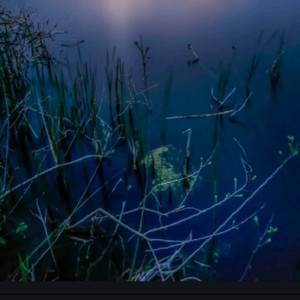 回过头 (吉他版)