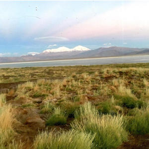 Distancia (feat. Valentina Fuentes)