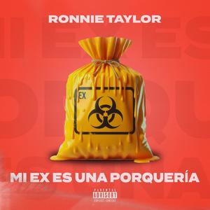 Mi Ex Es Una Porquería (feat. Mirezbeatz) [Explicit]