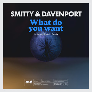 What Do You Want (Davenport Dub)