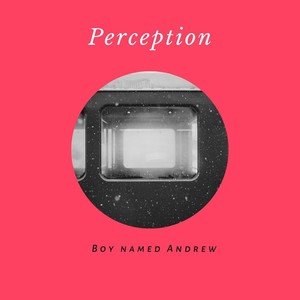 Perception