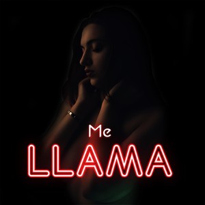 ME LLAMA (Explicit)