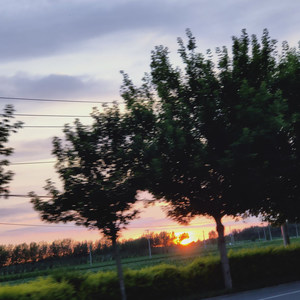 红颜君故