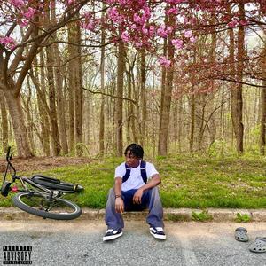 SZNS, Vol. 2 (Explicit)