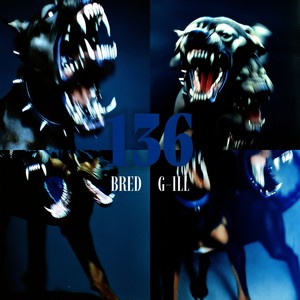 PREGUNTAS (Explicit)